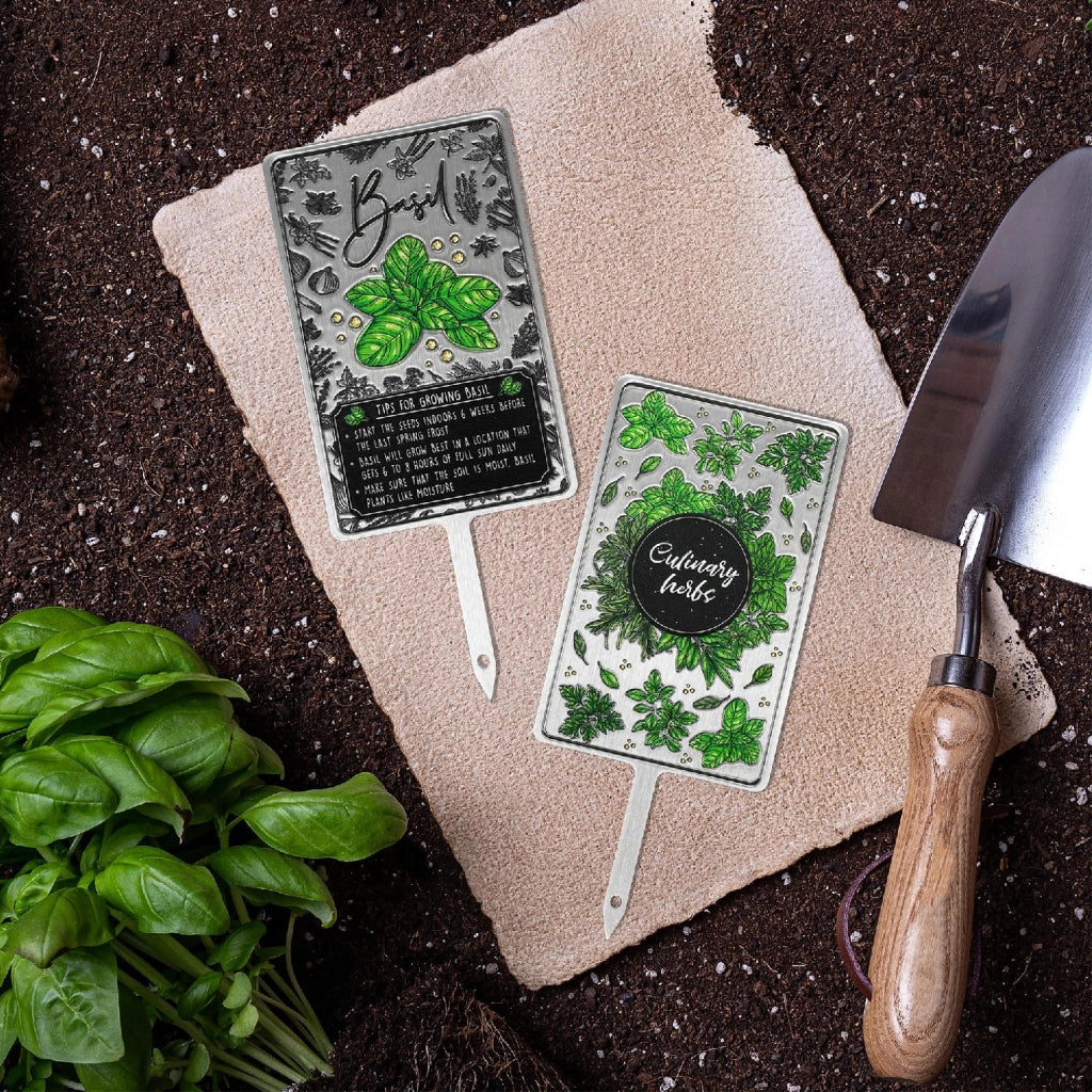 Etichettatrice per piante KADAX per erbe aromatiche e basilico in metallo