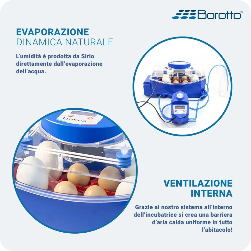 Borotto Lumia 8 Expert - Incubatrice per Uova Professionale Brevettata, Materiale Termoisolante con Antibatterico, con Umidificatore Automatico Sirio - per 8 Uova Medio/Grandi o 32 Uova Piccole