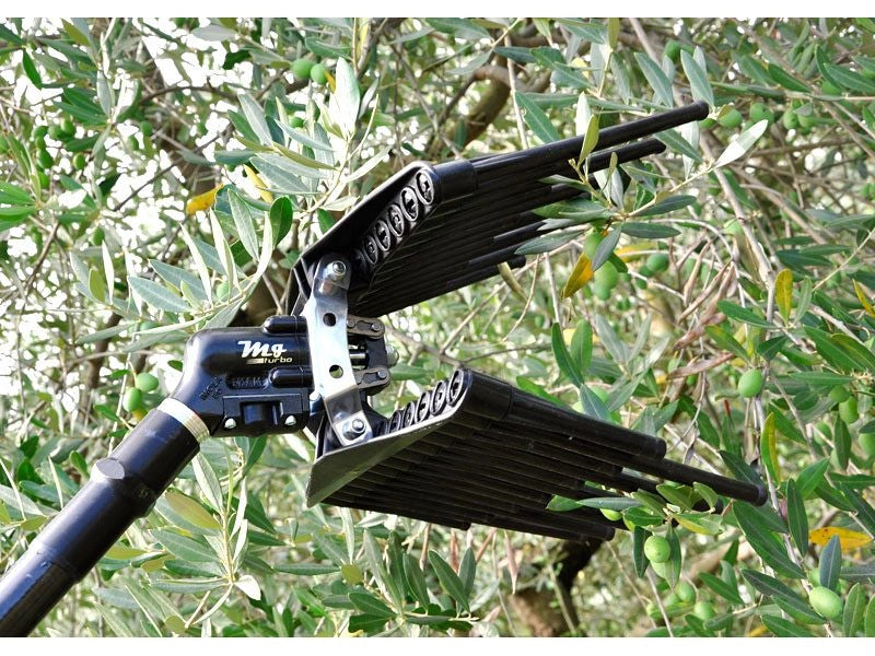 Kit raccolta olive per 2 operatori Lisam Hobby con motocompressore Honda 2 abbacchiatori
