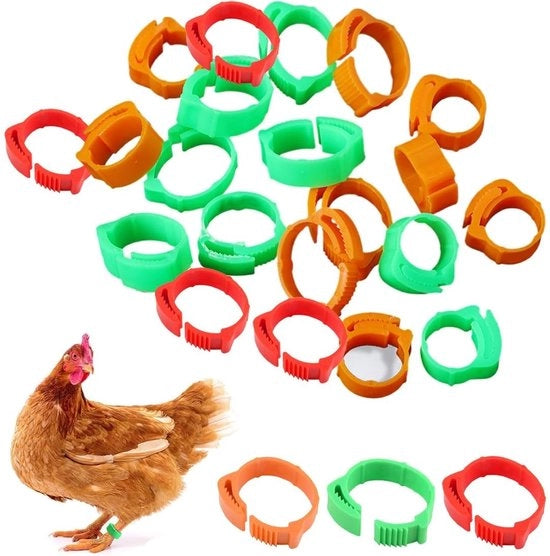 Anelli per pollo 60 pezzi - Anelli per gambe - Anelli per osso di pollo - Cintura di identificazione - Morsetto di fissaggio - Per polli/galline/oche