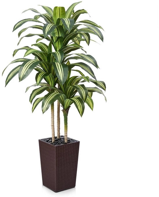 Drakenboom 150 cm Kunstplanten Groot - Pianta artificiale UV-resistente con 57 foglie, vaso marrone e pietre da fiume - Pianta decorativa per salone, ufficio, interni, esterni.