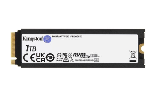 Kingston Technology 1000G RENEGADE PCIe 4.0 NVMe SSD W/ Dissipatore di calore
