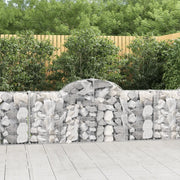 Cesti Gabbioni ad Arco 20 pz 200x30x80/100 cm Ferro Zincato 3146104