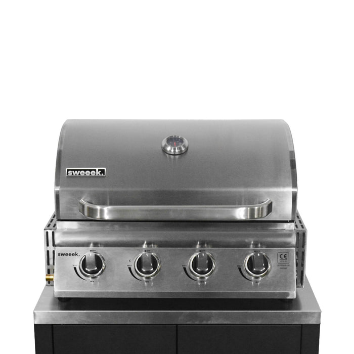 Cucina da esterno, 6 moduli e barbecue a gas, 4 bruciatori, argenté