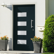 Porta d'Ingresso in Alluminio e PVC Antracite 100x210 cm 3056825