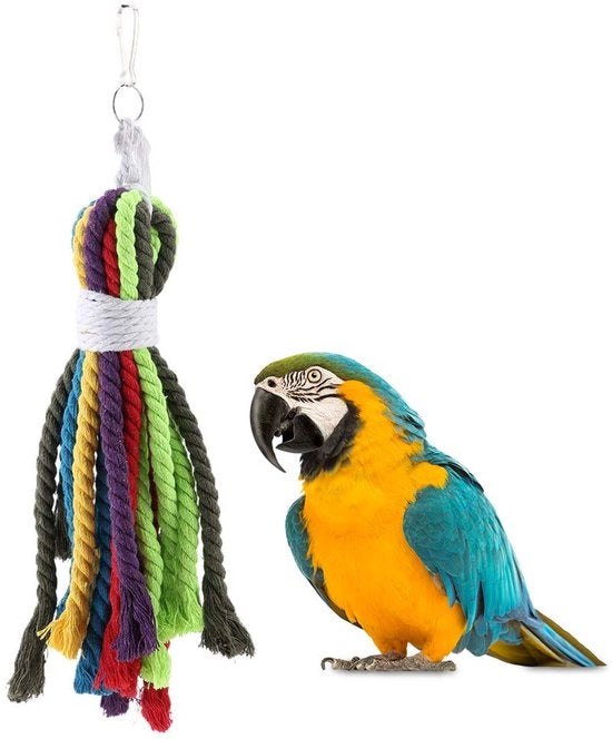 Accessori per gabbia di uccelli giocattolo multicolore con fili di cotone naturale per pulizia e nutrizione per uccelli che mordicchiano e afferrano fili.