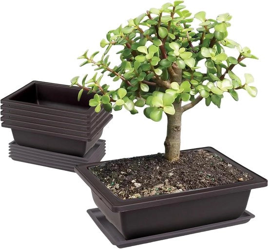 6 Set di Supporti per Allenamento: 23 x 17 x 8 cm Punti di Allenamento con Tavolo di Lavoro in Plastica Piatto Profondo per Piante per Giardini Aree Interne Uffici Salotti