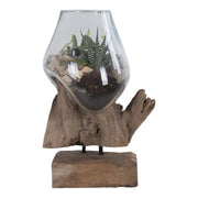 Terrario San Marino in vetro a goccia su base in radice di teak 18x15xh25 cm