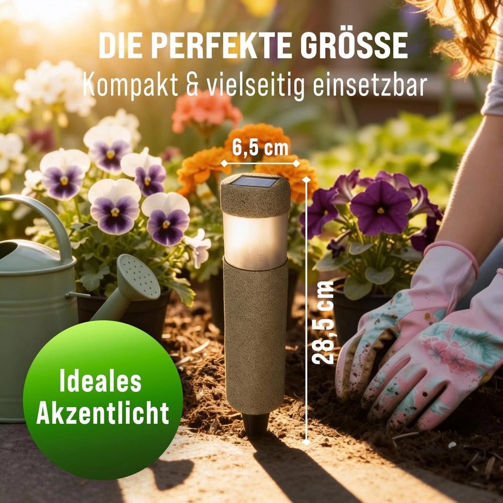Deuba® Lampada Solare da Esterno Set da 12 LED Protezione IP44 Sensore Crepuscolare Luce Sentiero Balcone Giardino