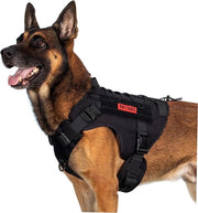 Attrezzo per cani FIRE Watcher 2.0 con sistema MOLLE, manubrio e chiusura metallica (nero, L)
