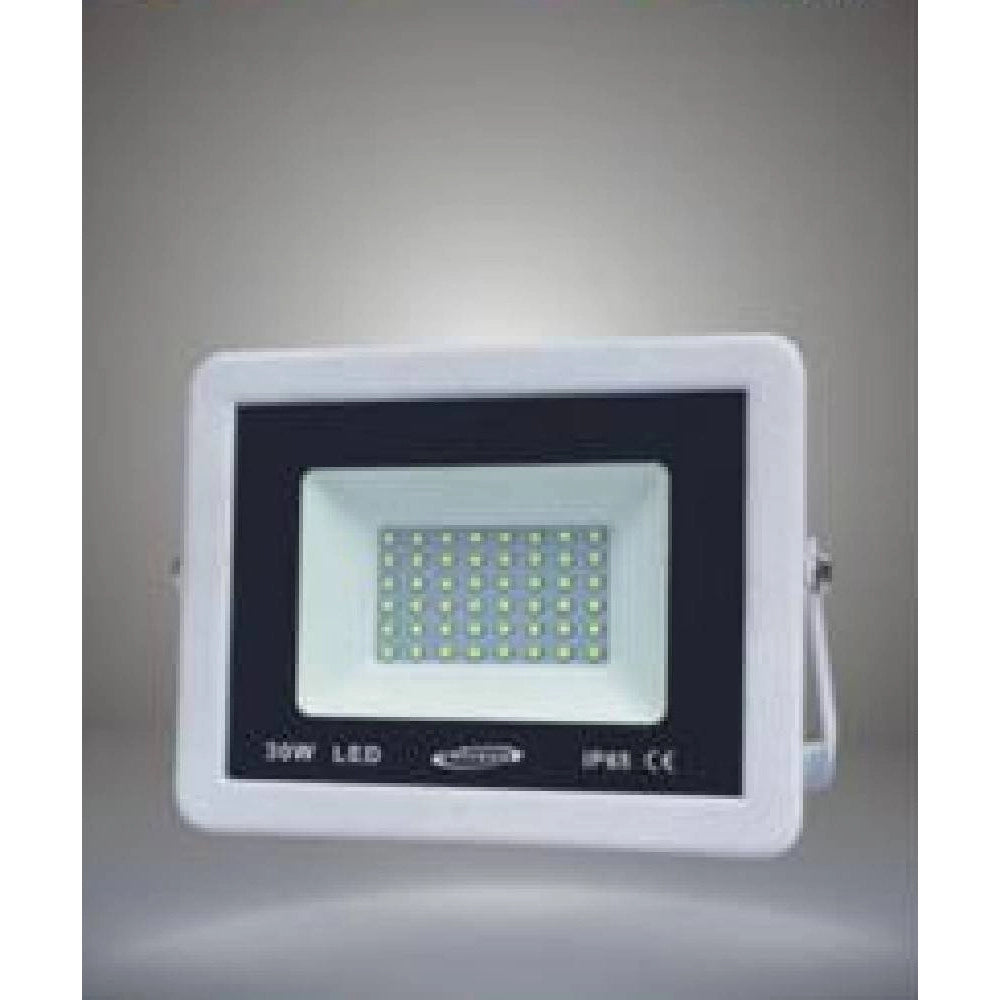 Trade Shop - Faretto Led Esterno Bianco Luce Naturale Calda Fredda 30w Antipioggia F30w-b1 - -bianco Caldo      -