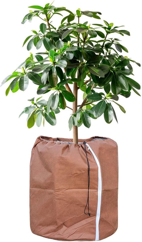 Protezione termica per piante, protezione per piante in vaso, sacco di protezione per piante, inverno, protezione per vaso con corda, 60 x 90 cm