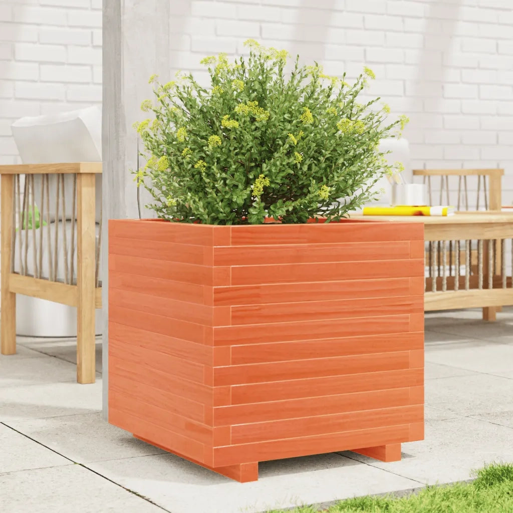 Fioriera Giardino-Vaso da Esterno-Contenitore per Piante Marrone Cera 50x50x49,5cm Legno Massello Pino 172552