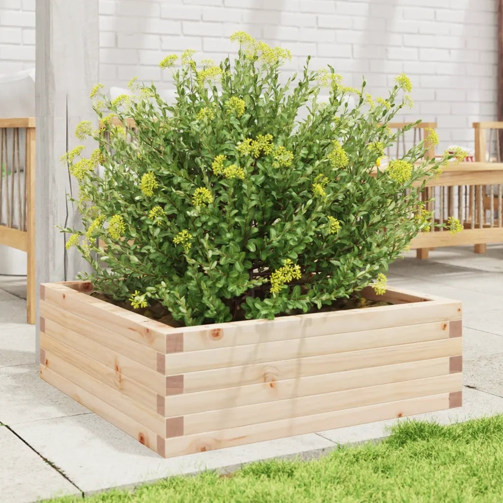 Fioriera da Giardino 70x70x23 cm in Legno Massello di Pino 847193