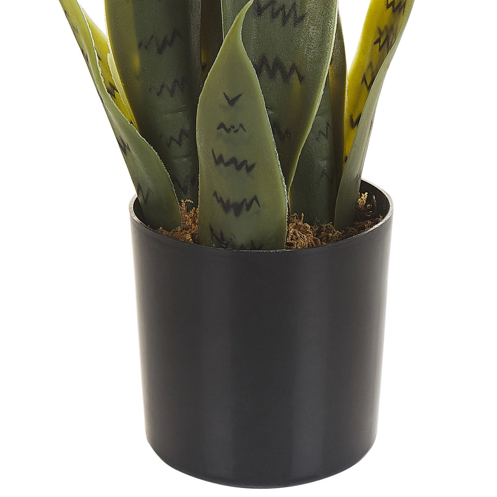 Pianta artificiale di serpente in vaso verde e Nero Materiale sintetico 40 cm Accessorio decorativo per interni