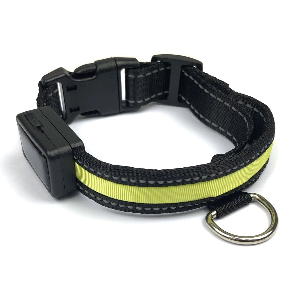 Collare luminoso a LED Taglia L per cani a ricarica solare e usb Giallo