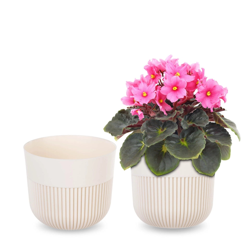 Vaso da fiori KADAX, Coprivaso, 13 cm, Plastica, Rotondo, A coste, Pianta
