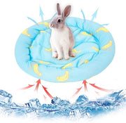 Casa per piccoli animali - Piastra raffreddante per animali domestici - Blu - Letto confortevole - Idoneo per conigli, topi di laboratorio e cuccioli