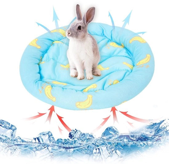 Casa per piccoli animali - Piastra raffreddante per animali domestici - Blu - Letto confortevole - Idoneo per conigli, topi di laboratorio e cuccioli