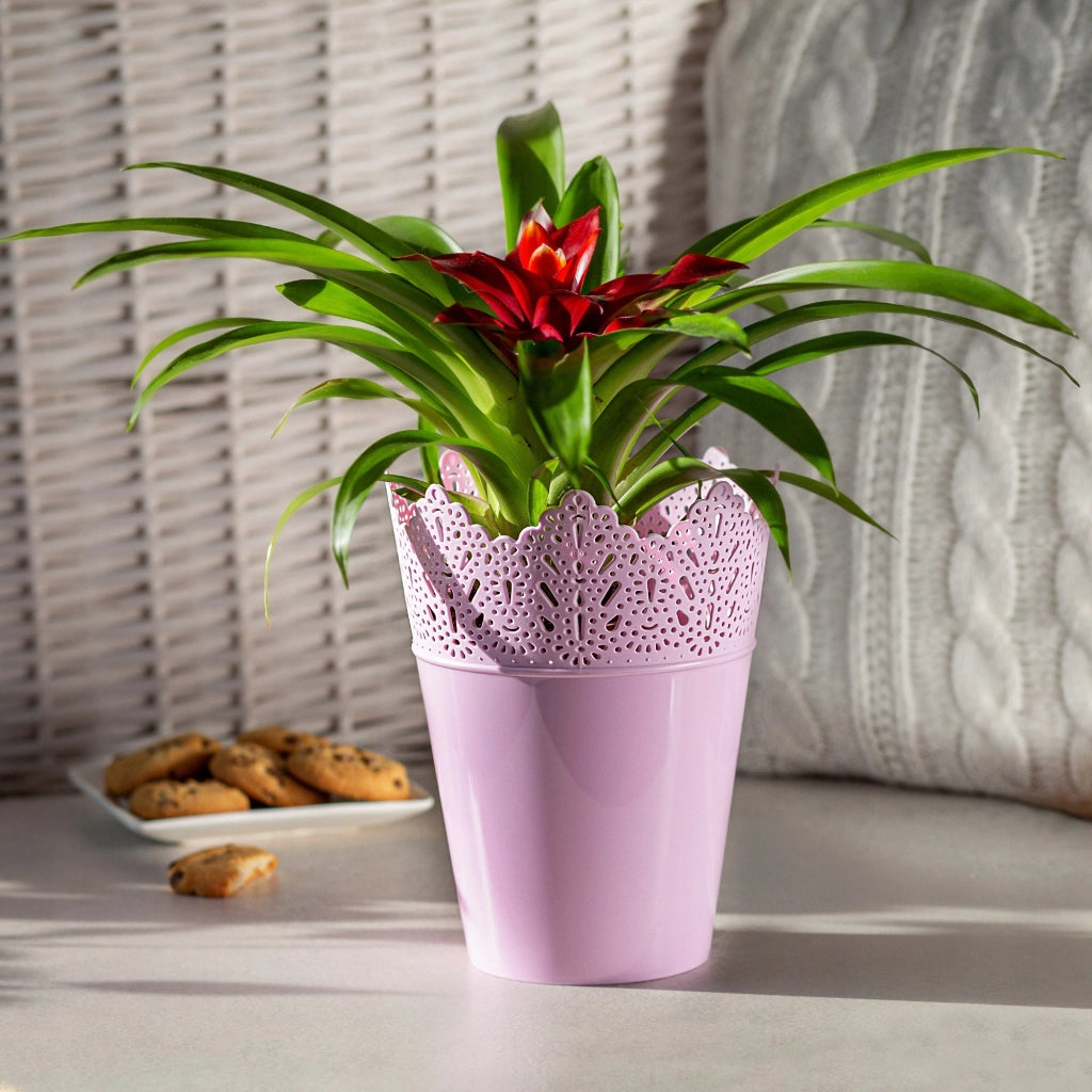 Vaso da fiori KADAX, vaso da fiori, coperchio, alto, in plastica, 12 cm, rosa