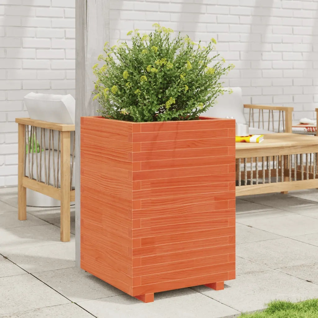 Fioriera Giardino-Vaso da Esterno-Contenitore per Piante Marrone Cera 50x50x72,5cm Legno Massello Pino