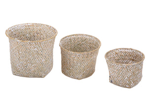 Set 6 Cesti 33C32 cm