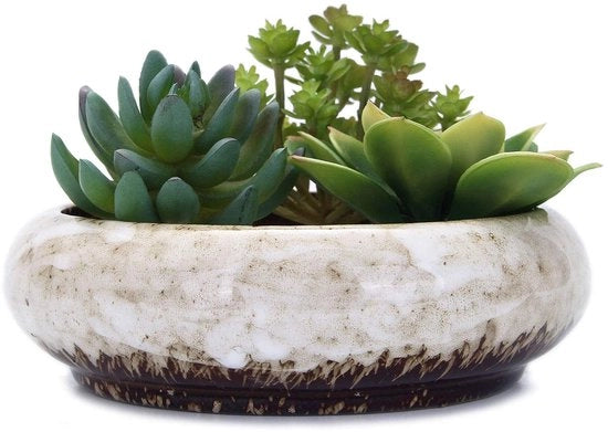 Pentola ceramica - Ideale per cactus - 1 pezzo - colore vivace - ceramica di alta qualità - 18,5 x 5,5 cm