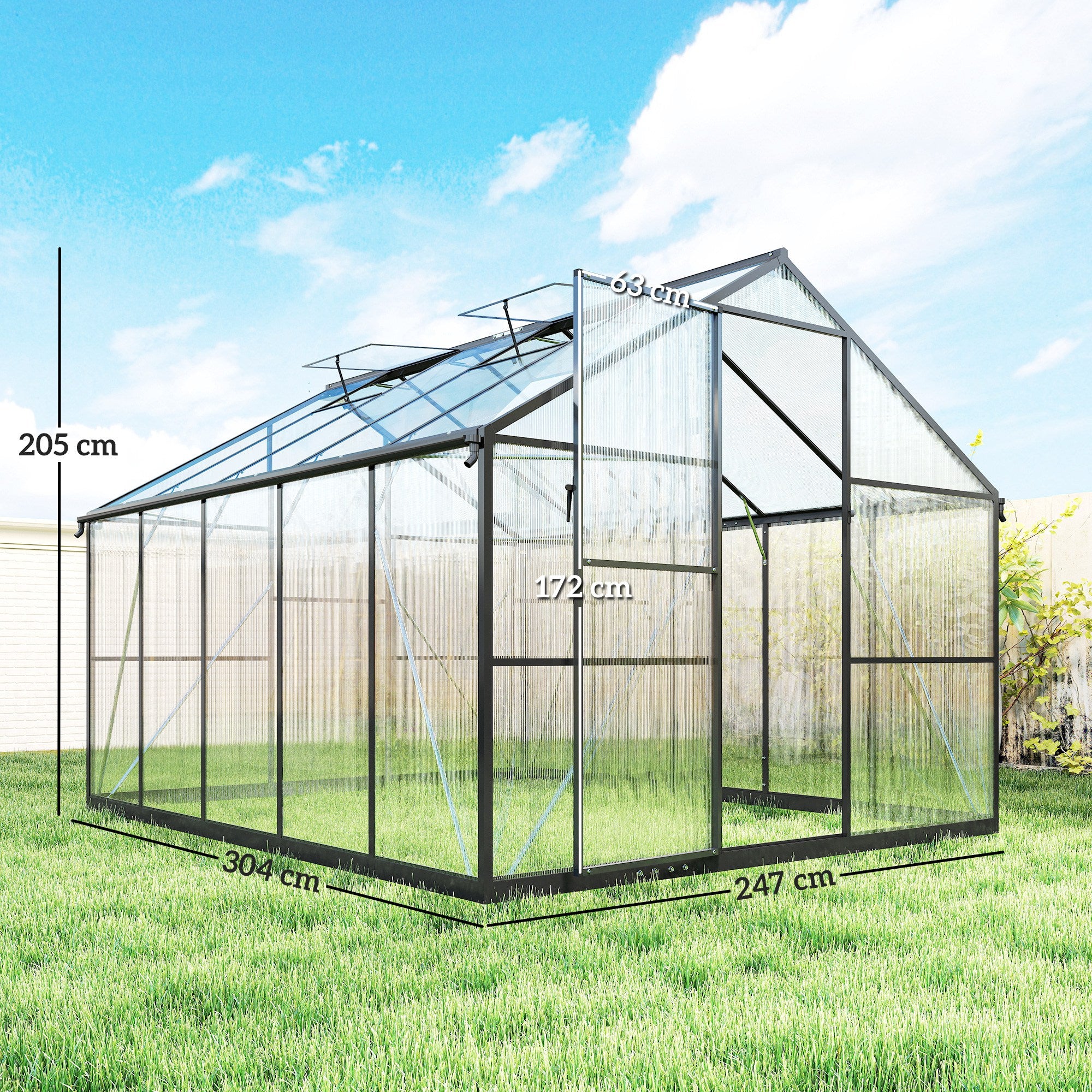 Serra per Orto 304x247x205 cm con Porta a Battente e 2 Finestre Regolabili in PC e Alluminio Nero
