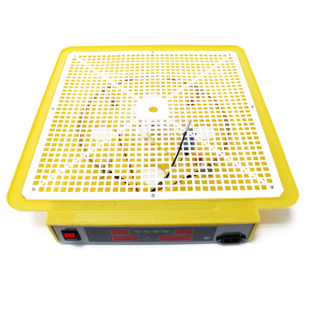 Incubatrice automatica per 72 uova, con regolazione temperatura e umidità, Covatrice