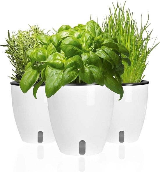Set di erbe autoirriguo per finestra, con 3 contenitori, per giardino di erbe, contenitore per erbe, vaso per fiori, dimensioni 19 x 18 x 11 cm