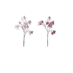 Magnolia innevata 8 fiori 88 cm