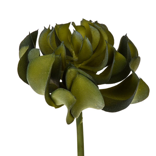 Set 6 Aoenium arboreum Artificiale Altezza 13 cm Verde