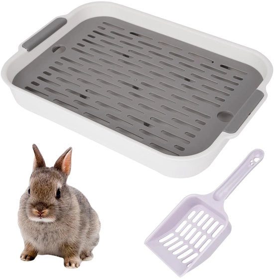 Contenitore di raccolta verde, con scopa e accessori per cavia, coniglio, topi, gatti, animali da compagnia, contenitore per conigli, contenitore per animali da compagnia, per la casa, consigli per la cassetta degli animali, per la gabbia, per cavia.
