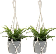 Hanger a Macramé per Pianta da Appendere - Filo di Cotone Beige Decorazione per Interno ed Esterno