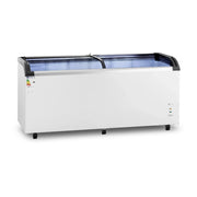 Congelatore orizzontale professionale di grandi dimensioni (volume: 545 litri refrigerante: R290 potenza: 252 watt intervallo di temperatura: -30 – 5 °C materiali: acciaio/alluminio) 14_0005271
