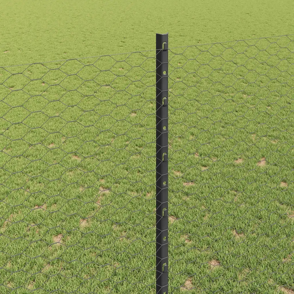 Recinzione da Giardino | Recinzione con Posto Grigio