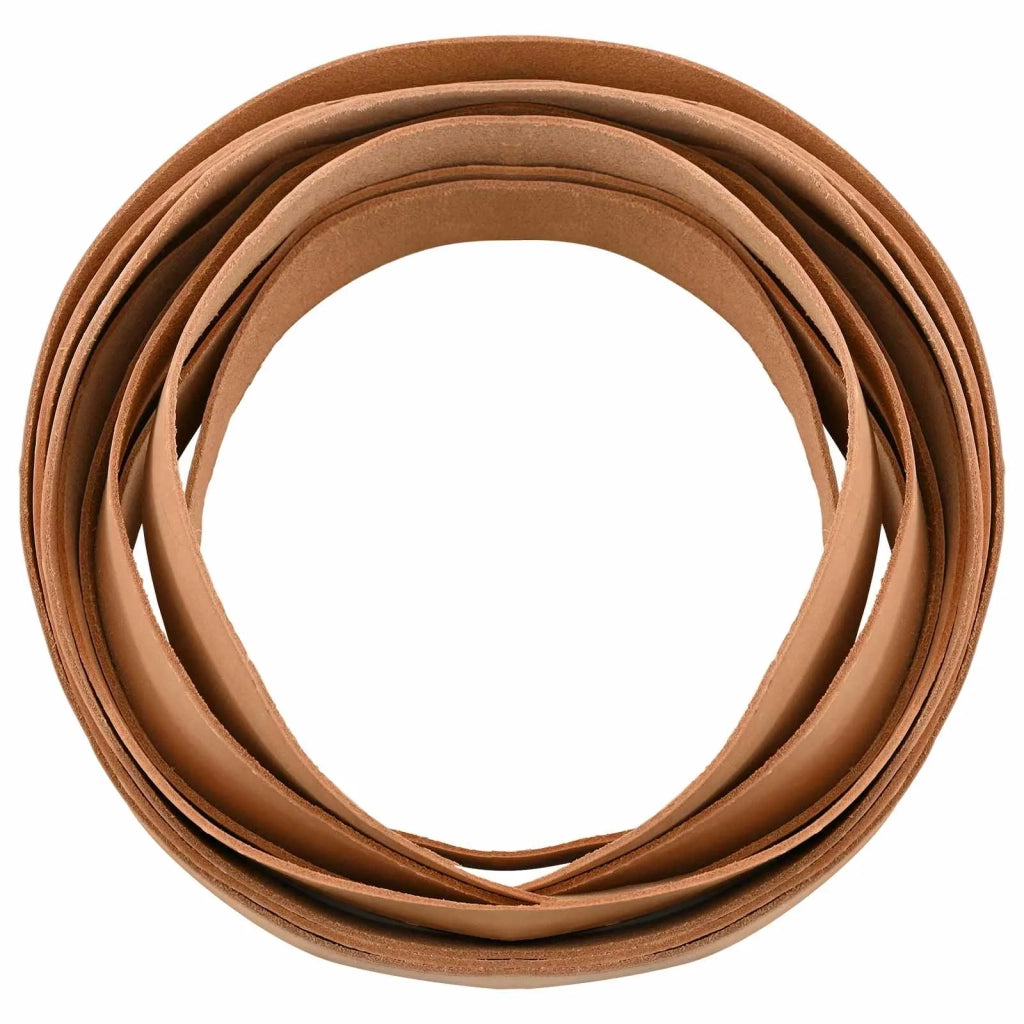 Cinturino in pelle Marrone Chiaro 1000 x 3 cm Pelle 42034264