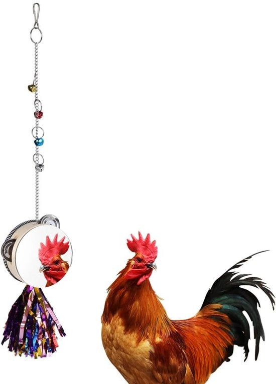 Giocattolo per specchio interattivo da appendere - specchio che si muove - specchio a tamburo - divertimento illuminato - per galline/pappagalli - con gancio e campanello - giocattolo per uccelli