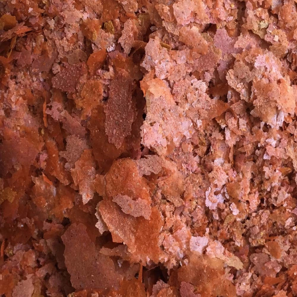 Amtra Pro Color F - Mangime in scaglie per la naturale colorazione dei pesci d’acquario Formato: 100 ml