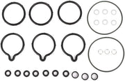 Set di riparazione pompa alta pressione - O-ring - Gomma - Sostituzione - Adatto per Lancia/Iveco - Tipo di articolo 0445010002 - Set di sigillaggio