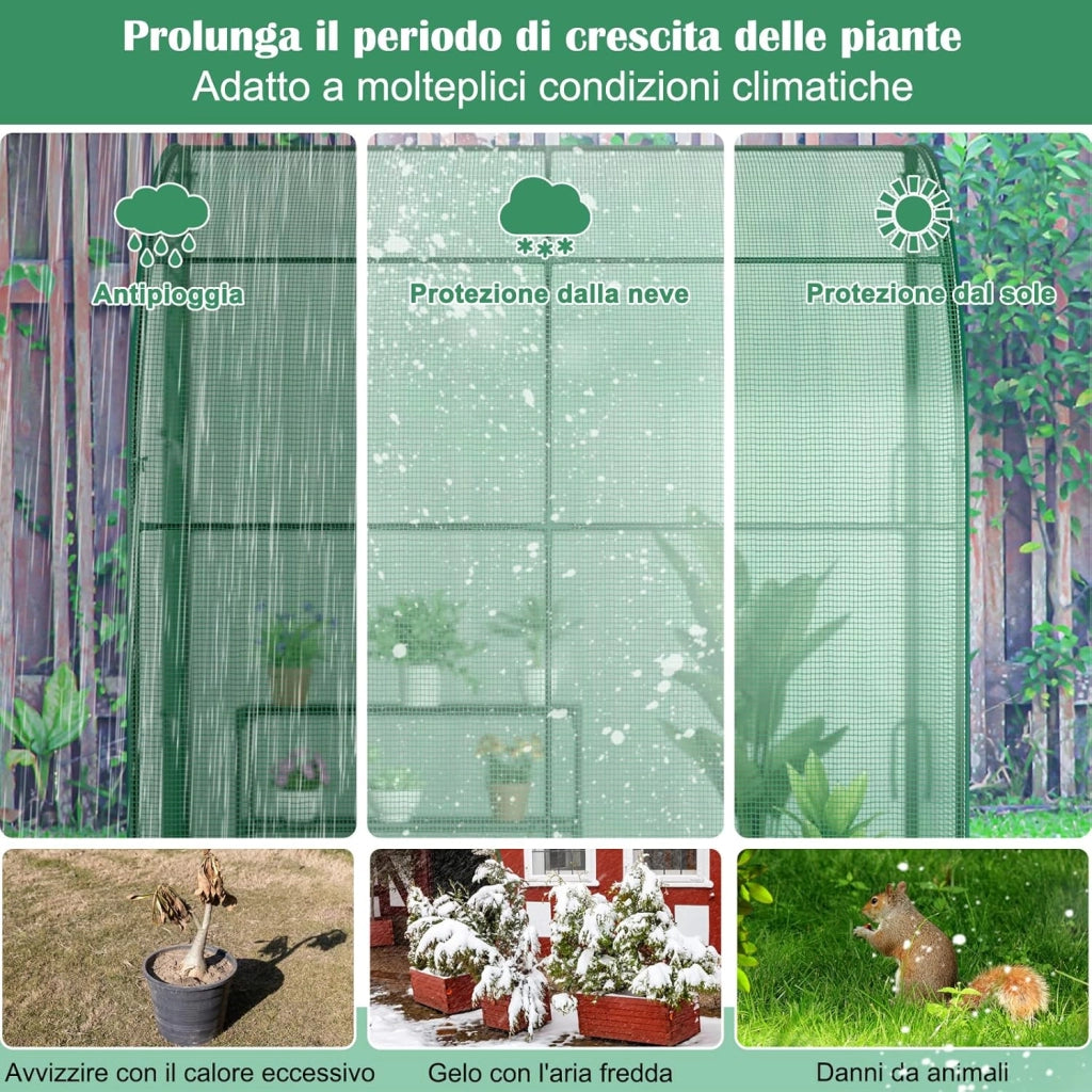 Serra da Giardino da Parete, Serra da Esterno Walk-in con Copertura in PE Resistente alle Intemperie, Porte a Cerniera Avvolgibili e Scaffale Porta Piante, 200 x 100 x 215 cm