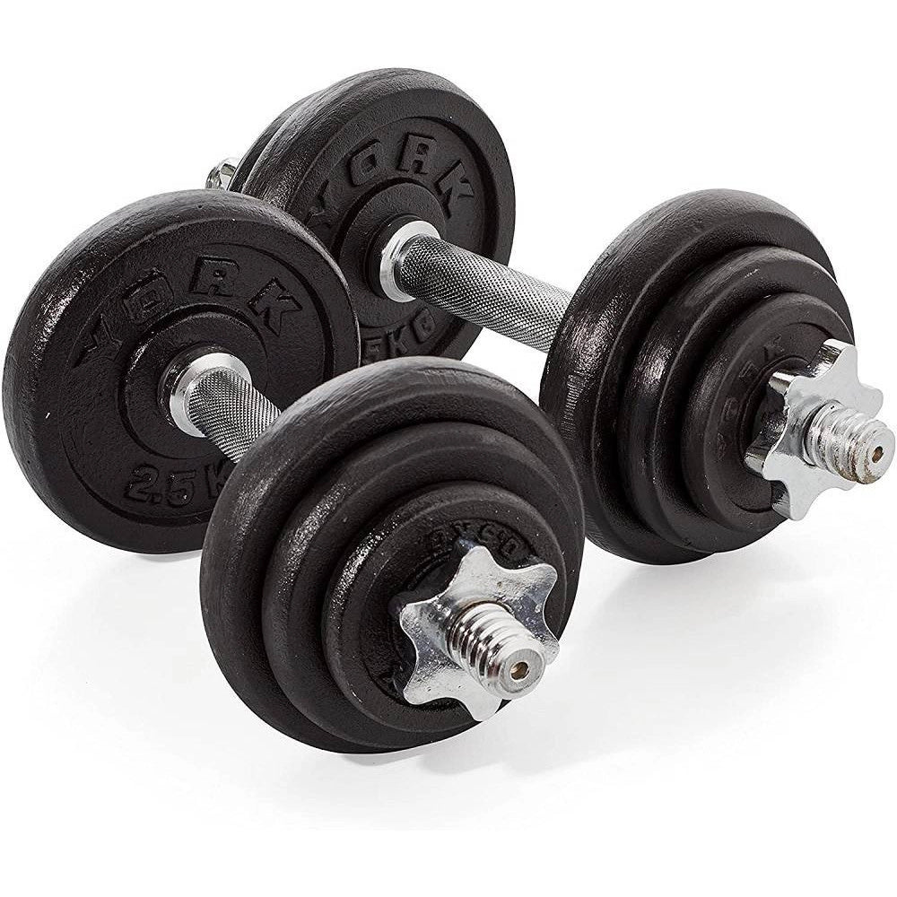 Trade Shop - Set Di Manubri In Ghisa York Fitness 20kg Foratura 2,54cm Allenamento Palestra -
