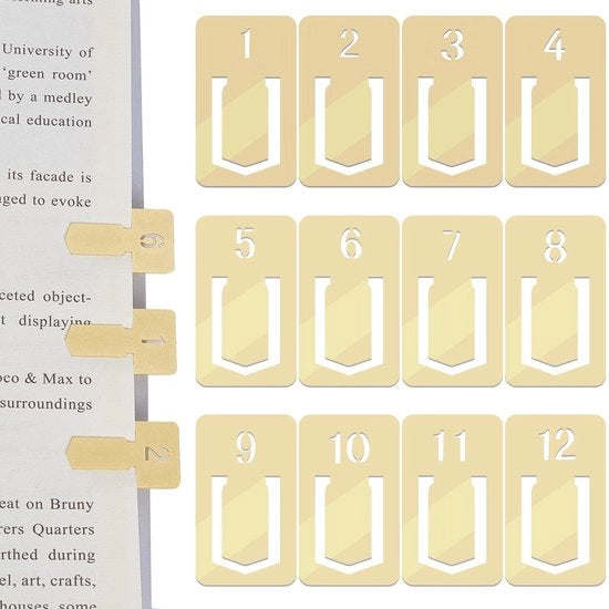 12 Pcs Clip per Organizzatore di Pagine - Numerevoli Mini Clip per Pagine di Pianificazione