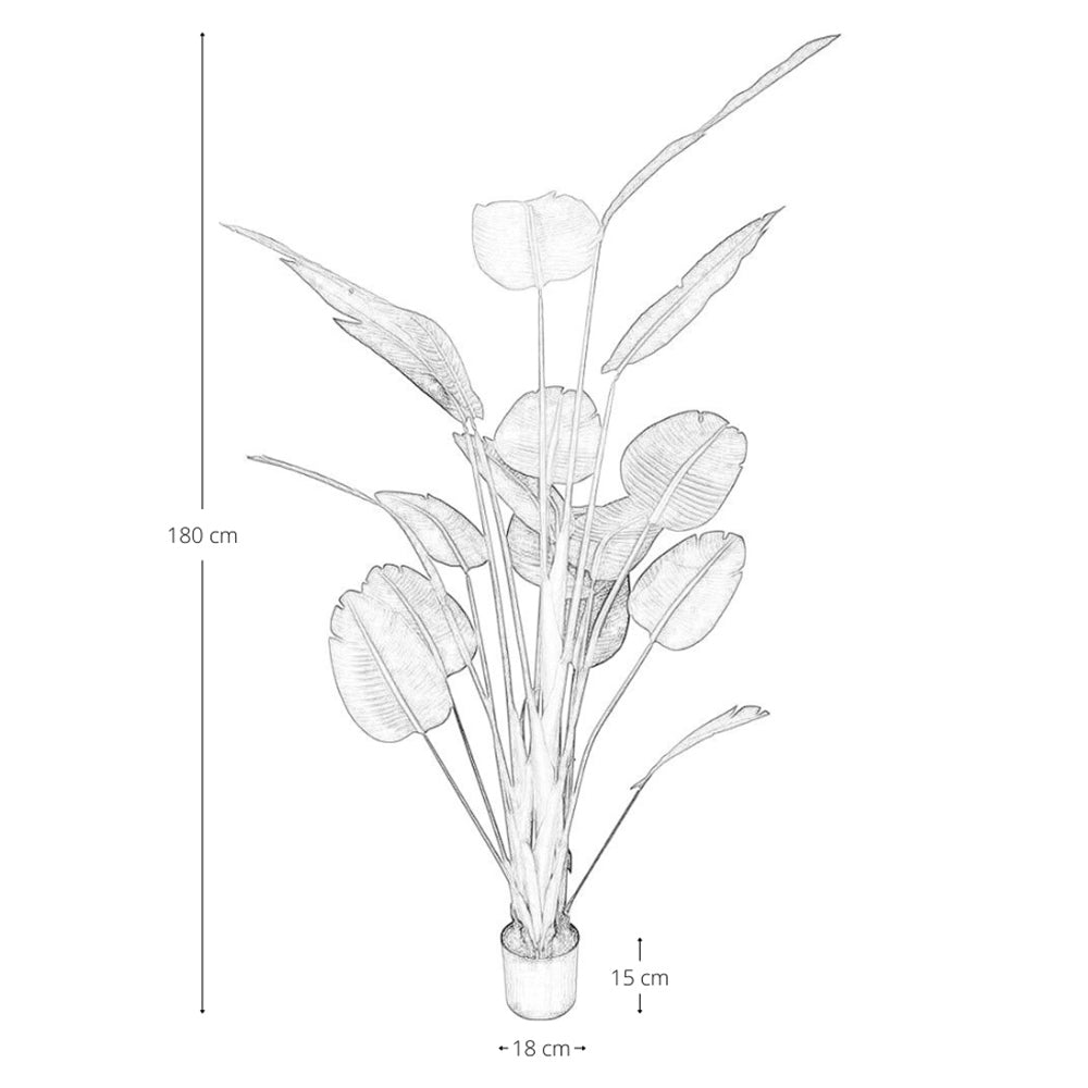 Strelitzia Artificiale con vaso pianta finta realistica decorativa h 180 cm