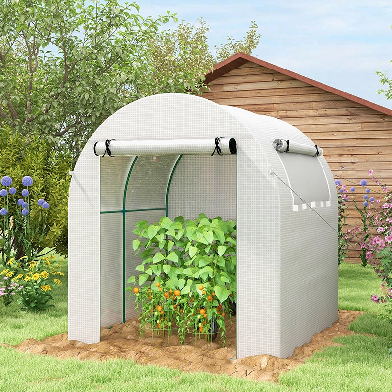 Serra da giardino tunnel 180x180x200 cm con porta a rullo e finestra in rete ¨C zephmum ¨C bianco