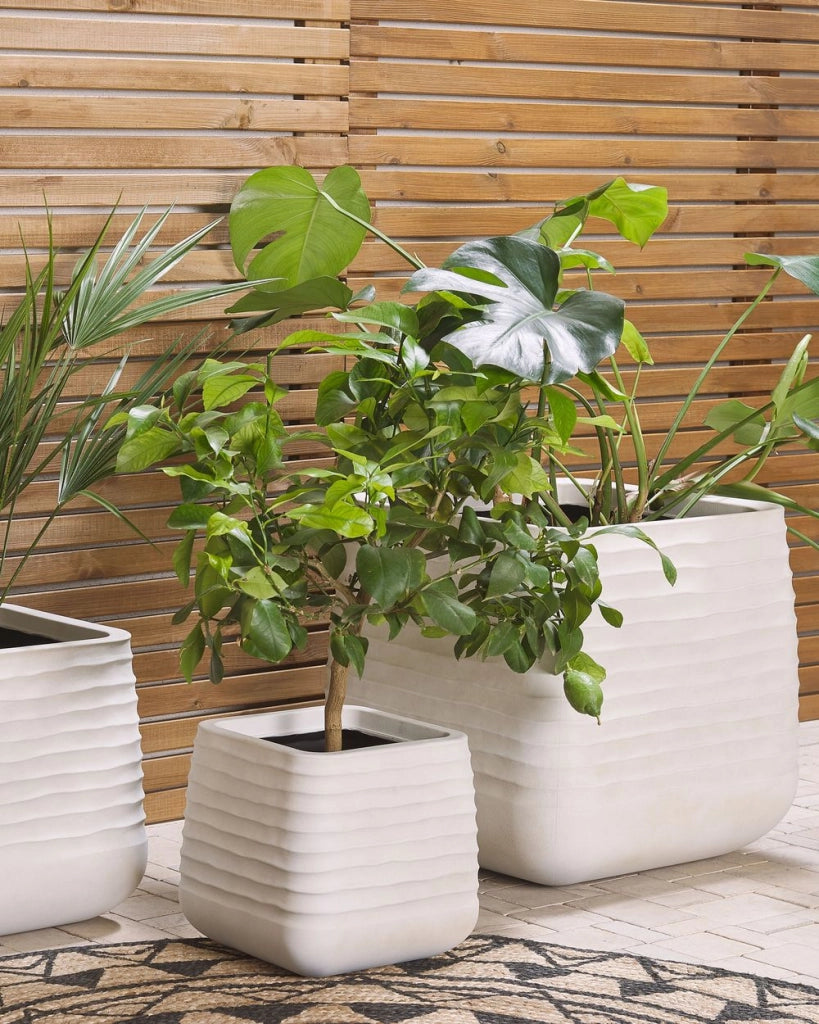 Vaso per piante grande in poliresina bianca sporca per esterni quadrato 50 x 49 cm resistente ai raggi UV
