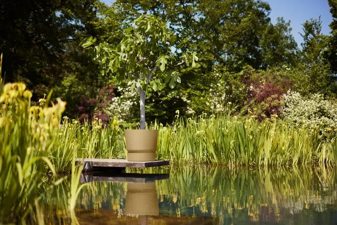 Greenville Round 47 cm Elho – vaso rotondo elegante per interni e giardino Colore: Senape