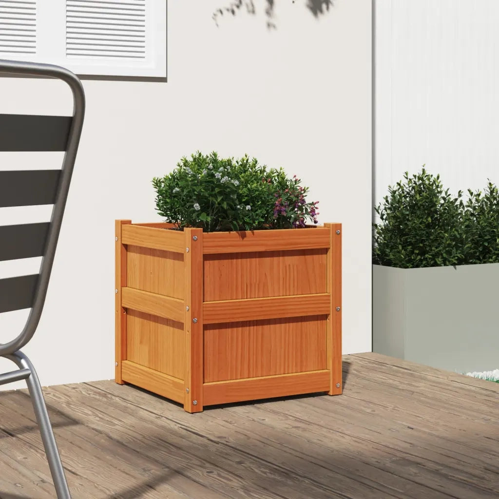 Fioriera Giardino-Vaso da Esterno-Contenitore per Piante Marrone Cera 50x50x50 cm Legno Massello Pino