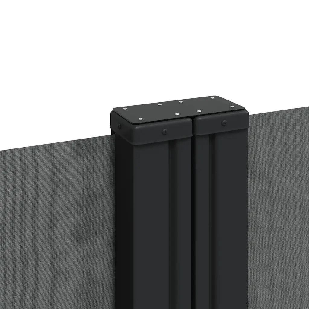 Tenda da Sole Laterale Retrattile Antracite 200x1200 cm 4004853