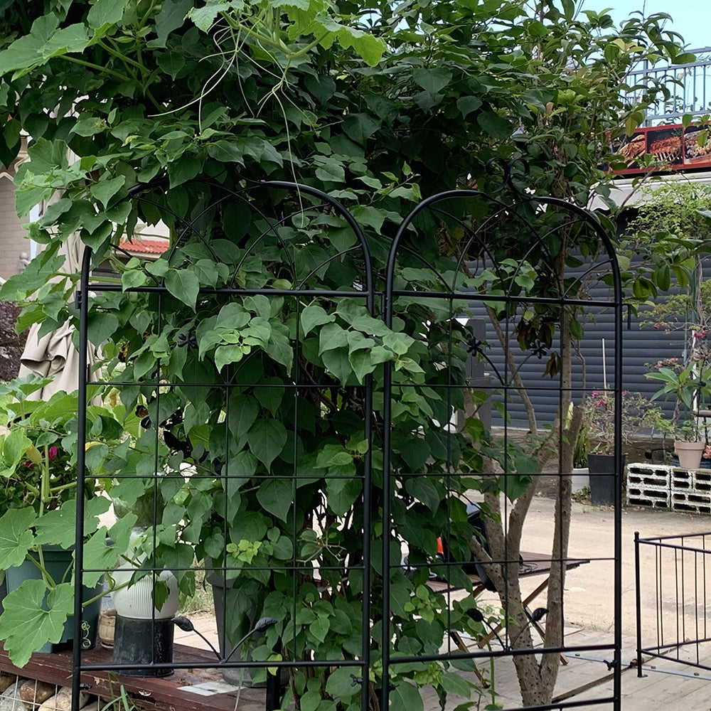 Griglia metallica per giardino - Xylo - 2 pezzi - Per piante rampicanti e vasi